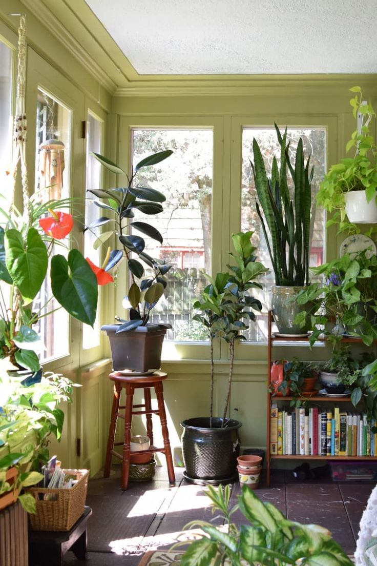 Basking in the Sun: The Allure of Sun Rooms