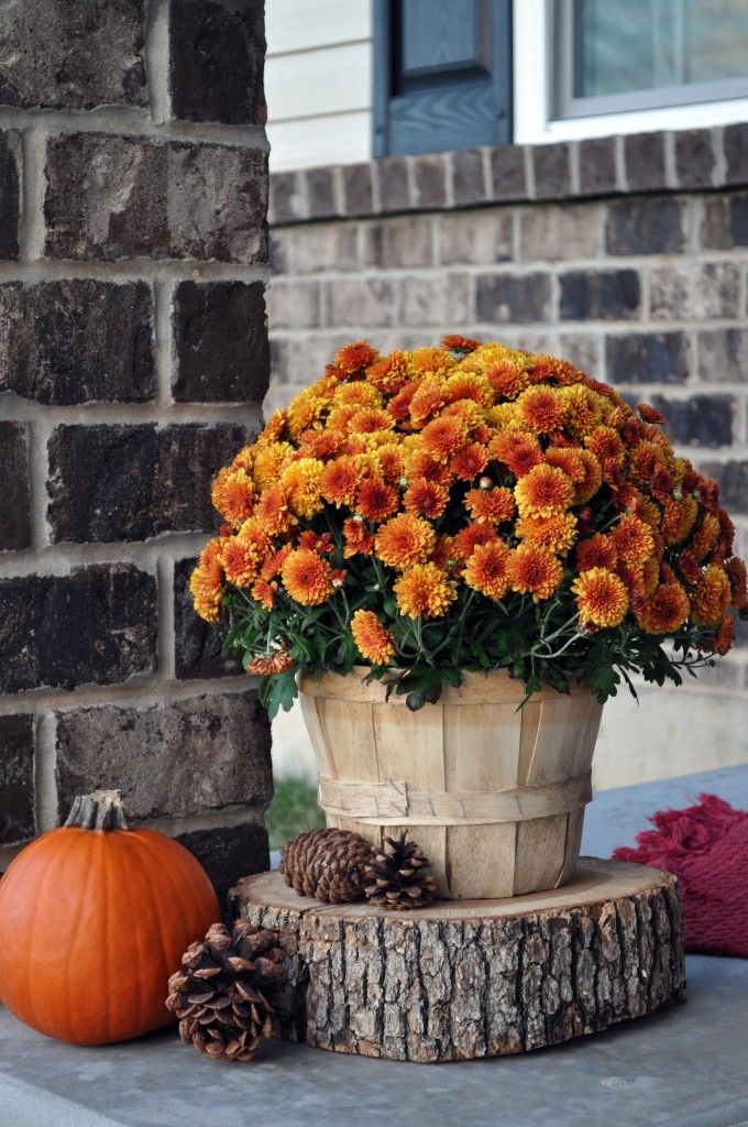 Beautiful Autumn Front Porch Decor Inspiration