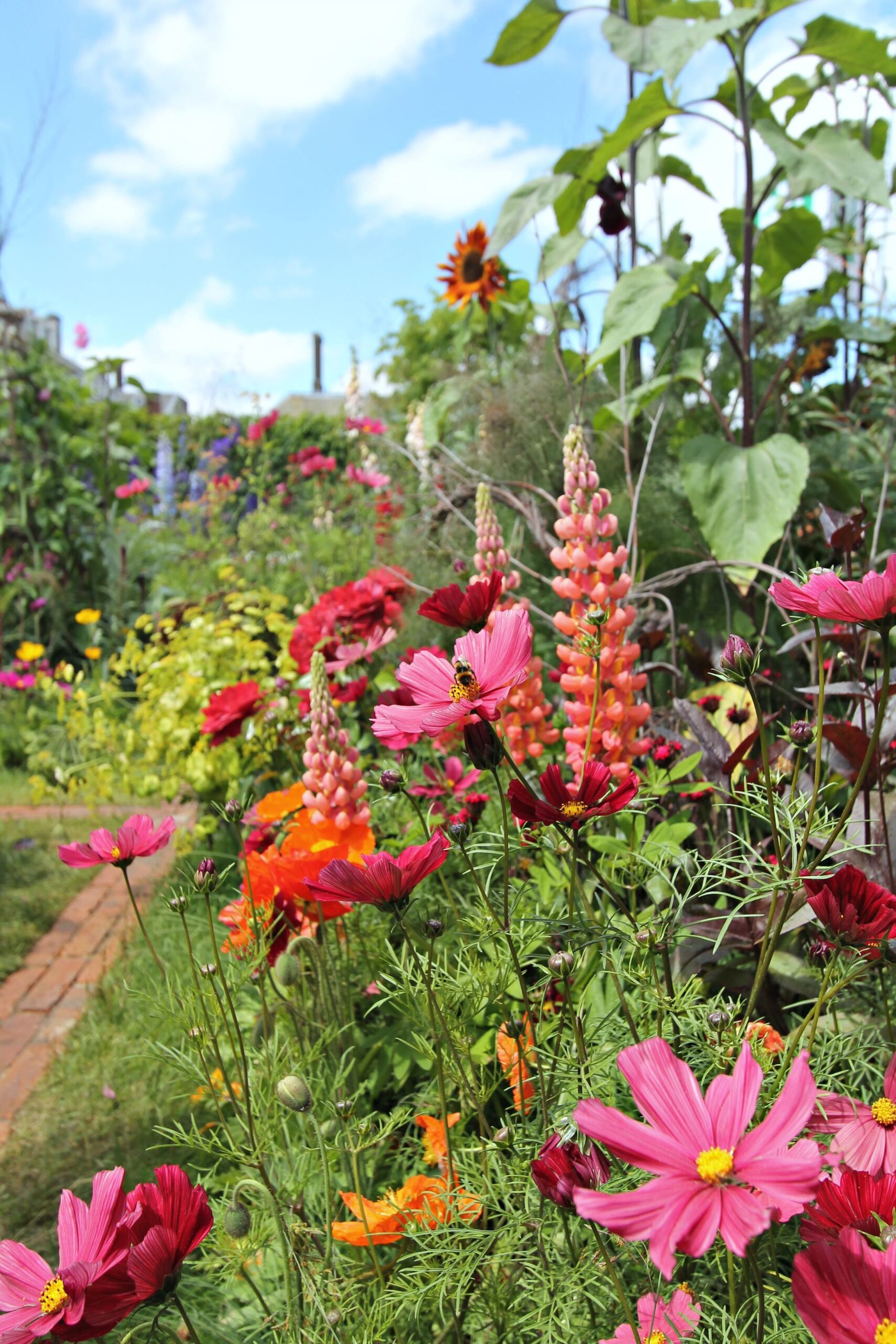 Beautiful Blooms: Creating a Stunning Flower Garden Design