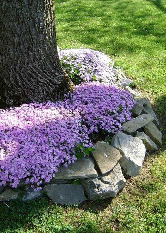 Beautiful Blooms: Flower-Filled Front Yards Around Trees