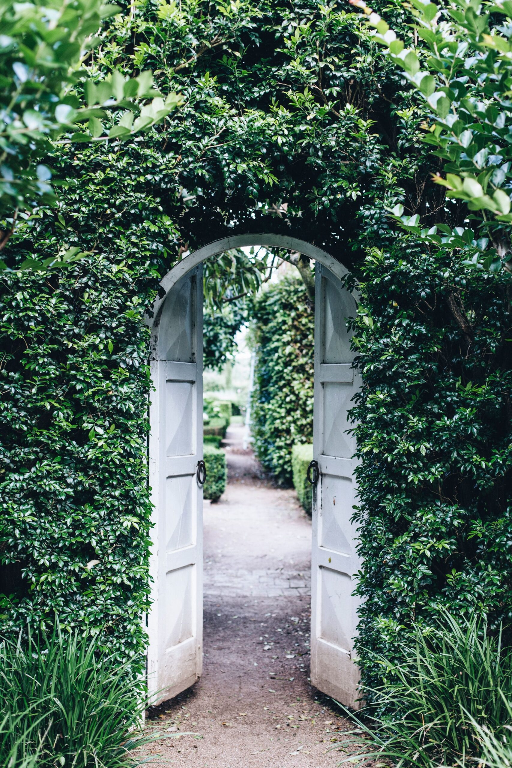 Beautiful Entryways: The Elegance of Garden Gates