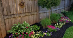 flower garden ideas in front of house