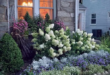 flower bed ideas