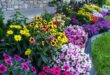 flower bed ideas