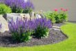 flower beds in front of house with rocks