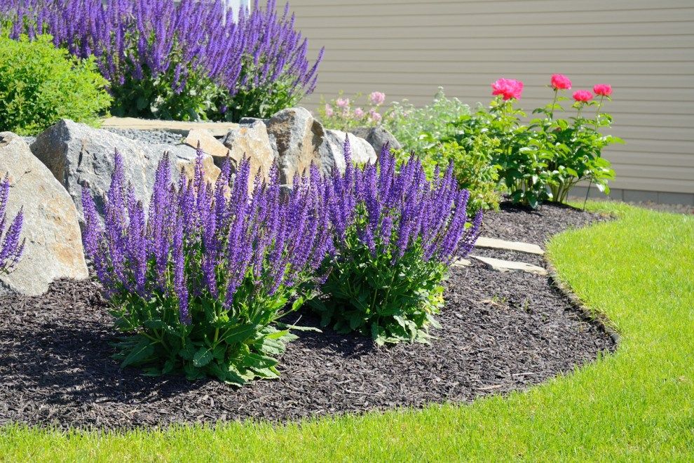 Beautiful Flower Beds Enhanced with Stones in Front of Houses