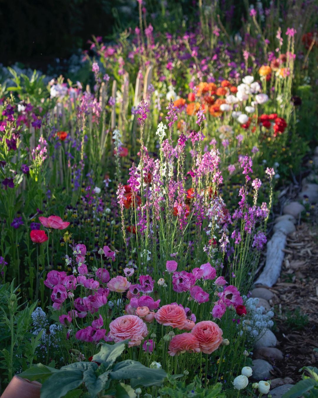 Beautiful Flower Garden Ideas for Enhancing Your Front Yard