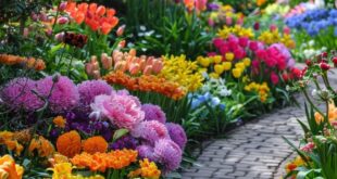 flower garden ideas in front of house