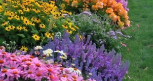 flower garden ideas in front of house