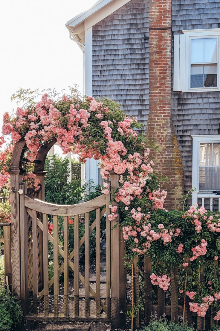 Creative Front Yard Cottage Garden Ideas for a Charming Outdoor Space