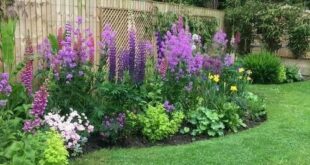 front yard flower beds