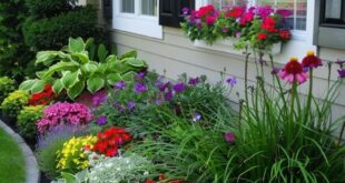 front yard flower beds