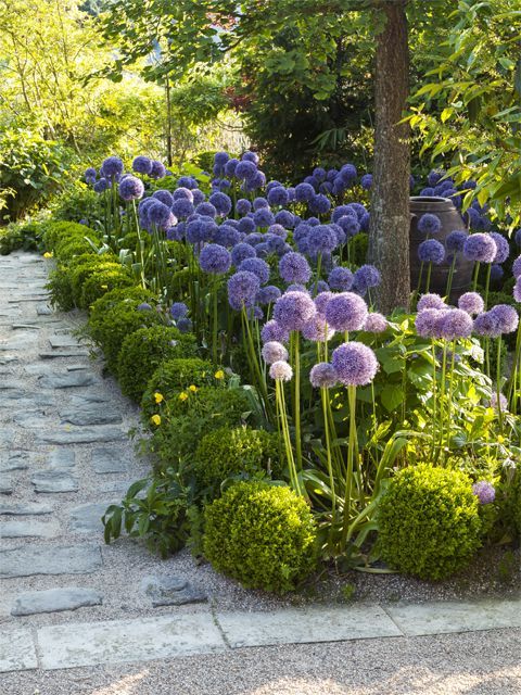 Beautiful Garden Border Ideas to Enhance Your Outdoor Space