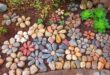 garden ideas with stones