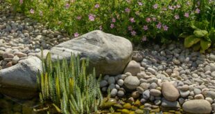 small garden ponds ideas