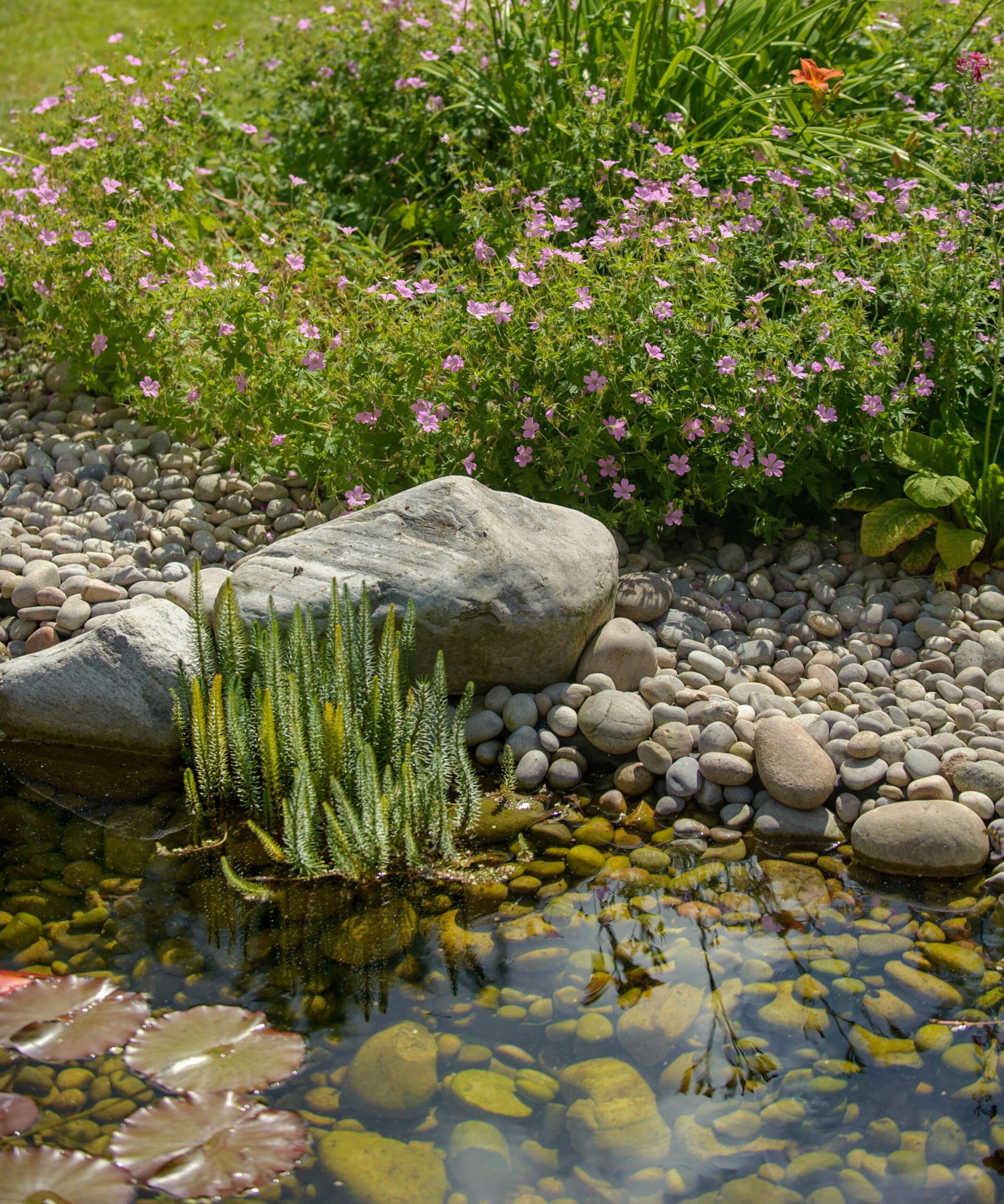 Beautiful Ideas for Small Garden Ponds