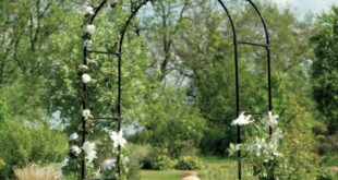 metal garden arches