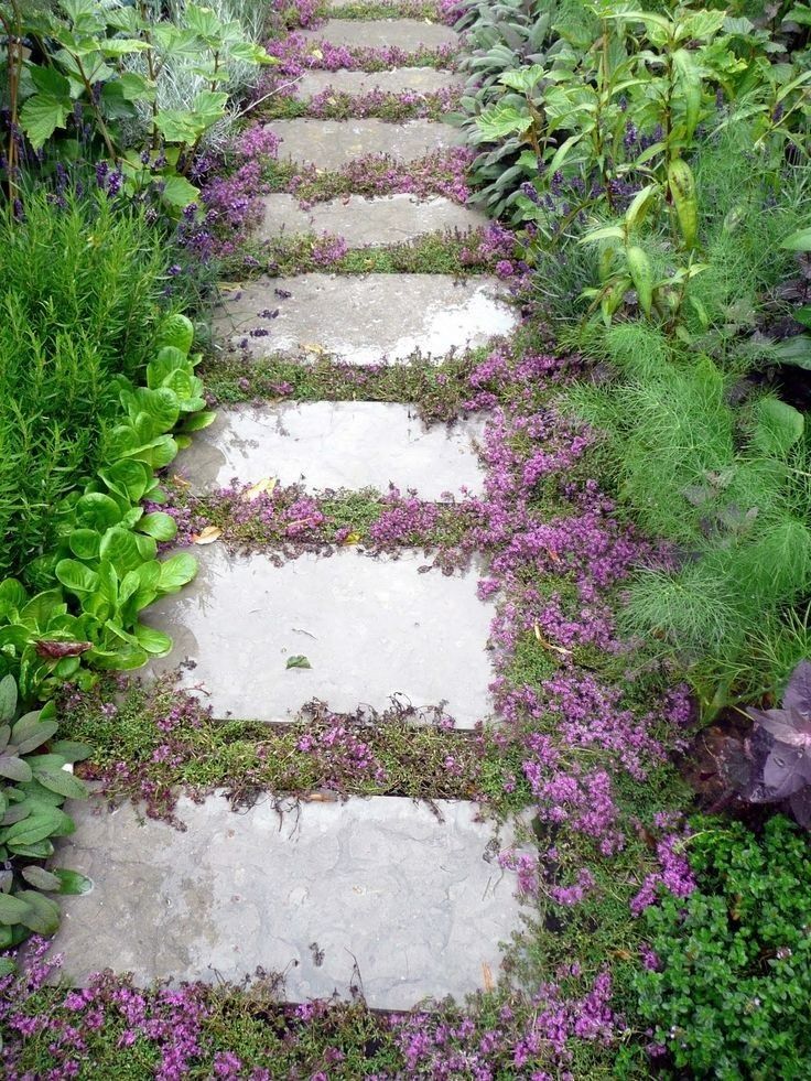 Creating Beautiful Garden Paths and Walkways for a Tranquil Outdoor Space