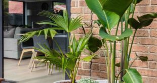 deck planters