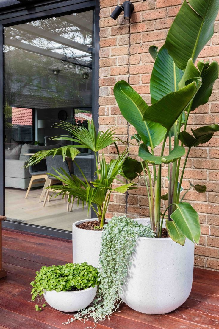 Beautiful Ways to Showcase Your Plants with Deck Planters