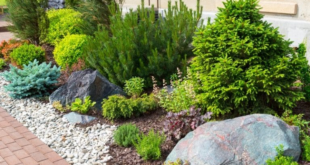 flower beds in front of house with rocks