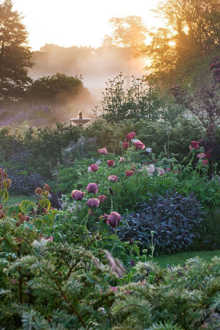 Blooming Beauty: Exploring the Allure of English Gardens