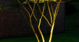 landscaping lighting