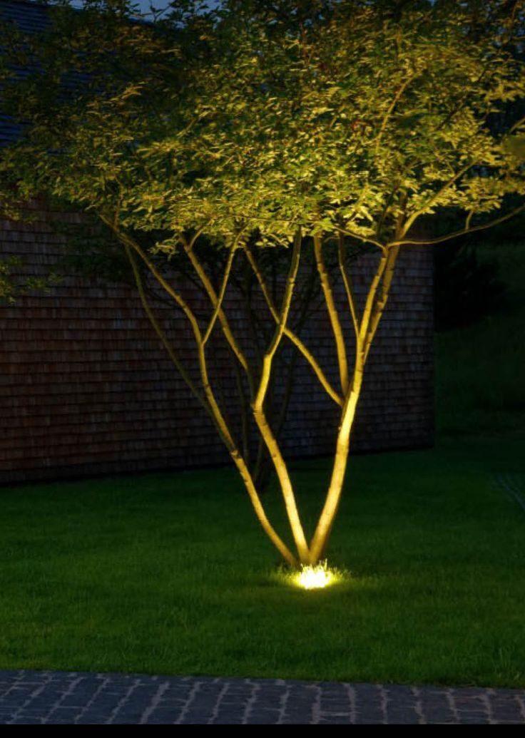 Brightening Up Your Landscape: Illuminating Your Outdoor Space with Stunning Lighting