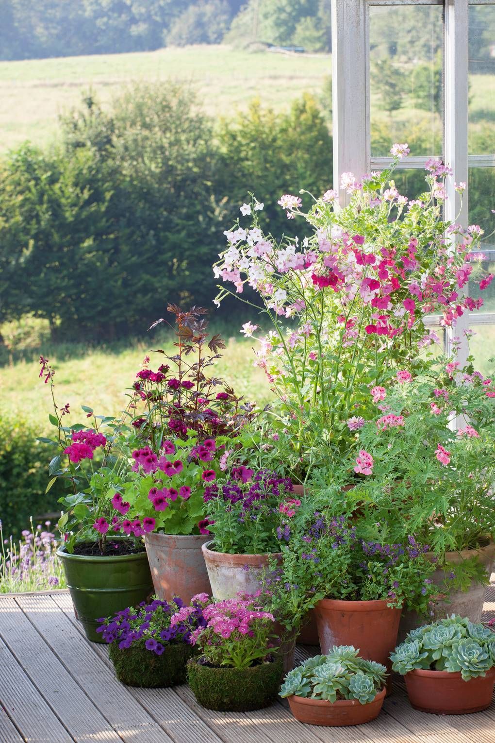 Budding Gardener? Try These Creative Container Gardening Ideas!