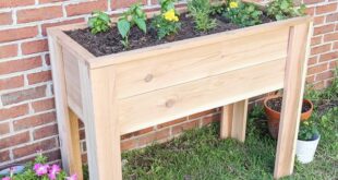 raised garden beds diy