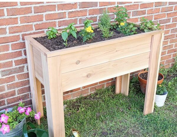 Building Your Own Raised Garden Beds: A DIY Guide