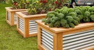 raised garden beds diy