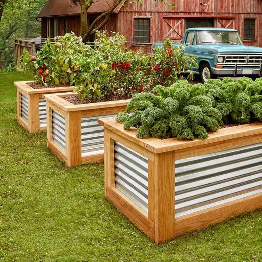 Building Your Own Raised Garden Beds: A Step-by-Step Guide