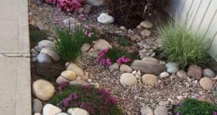 river rock garden