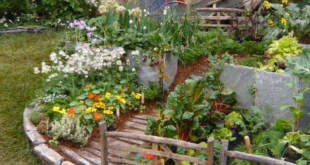 cottage gardens