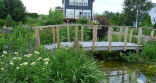 small garden bridge ideas