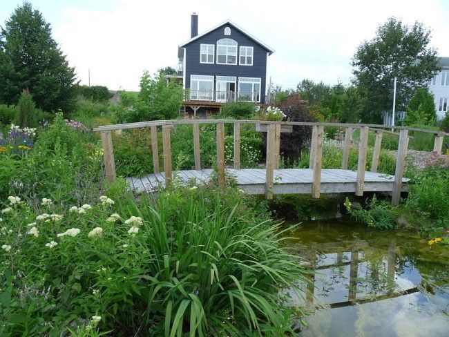 Charming Bridge Designs for Petite Gardens