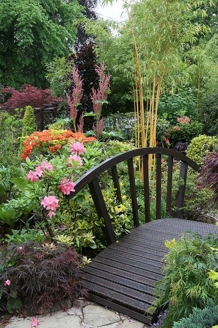 Charming Bridge Designs for Your Cozy Garden