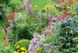 cottage garden design