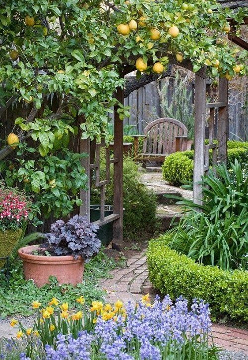 Charming Cottage Gardens: The Quintessential English Escape