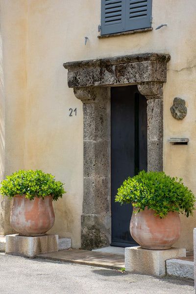 Charming French Garden Planters: Adding a Touch of Elegance to Your Outdoor Space