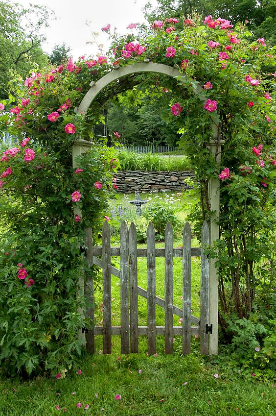 Charming Garden Gates: Enhancing Your Outdoor Space with Small Entrances