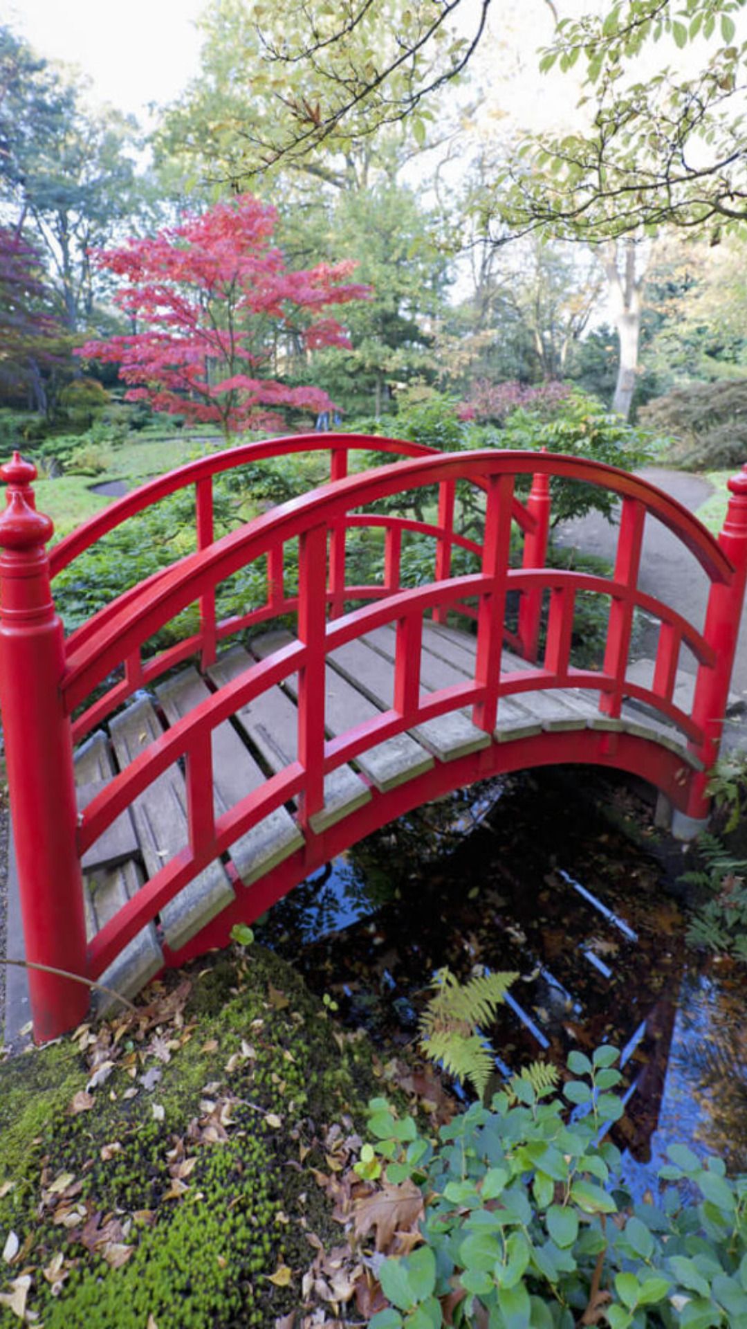 Charming Ideas for Small Garden Bridges
Transform Your Garden with these Bridge Ideas
Adorable Garden Bridge Ideas for Small Spaces
Create a Magical Oasis with these Small Garden Bridge Ideas
Elevate Your Garden with these Bridge Design Inspirations