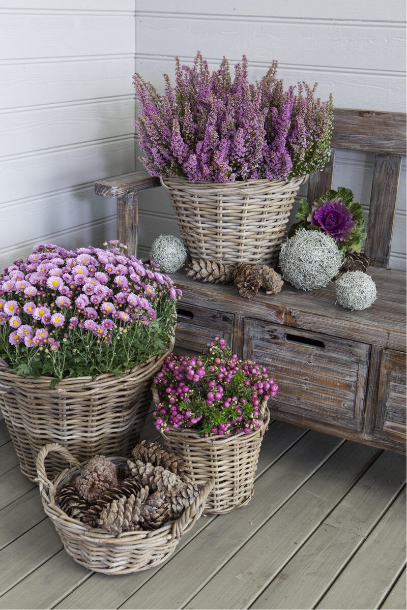 Charming Ideas for a Rustic Front Porch