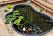 small garden ponds ideas