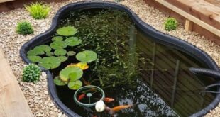 small garden ponds ideas