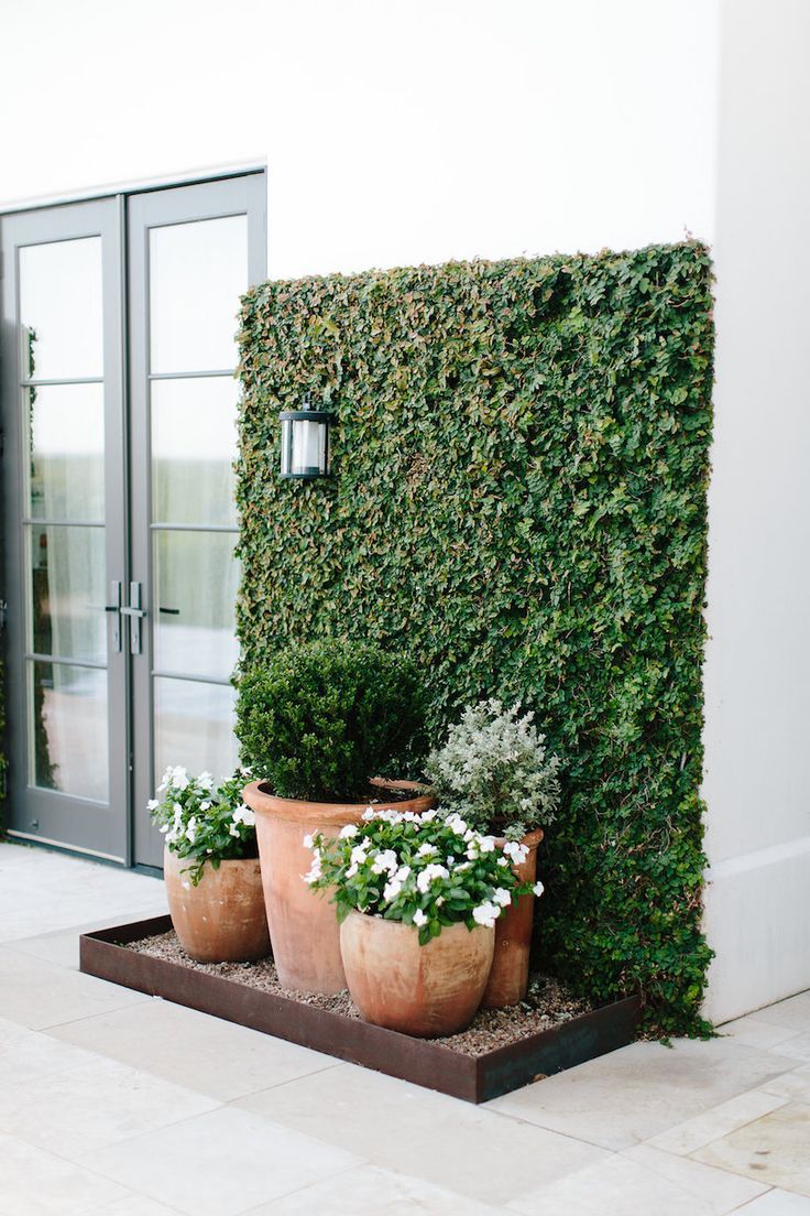 Charming Small Garden Walls: Enhancing Outdoor Spaces