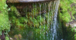 small garden waterfalls