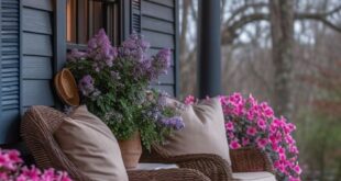 rustic porch ideas