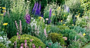 cottage garden design